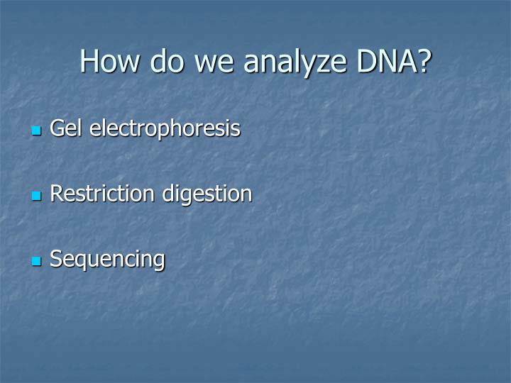 how do we analyze dna