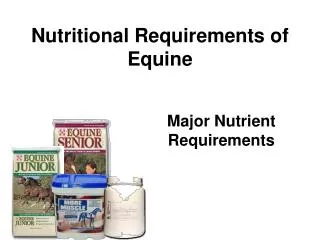 Nutritional Requirements of Equine