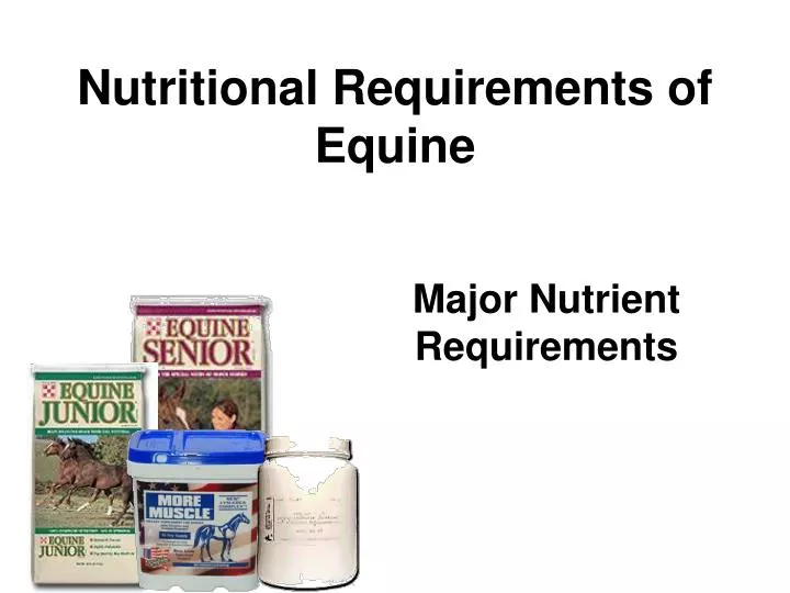 nutritional requirements of equine