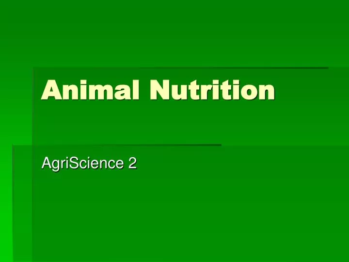 animal nutrition