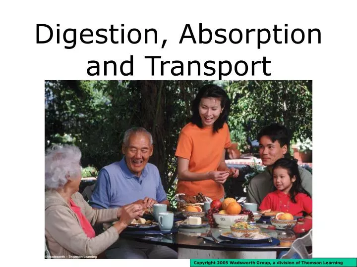 digestion absorption and transport