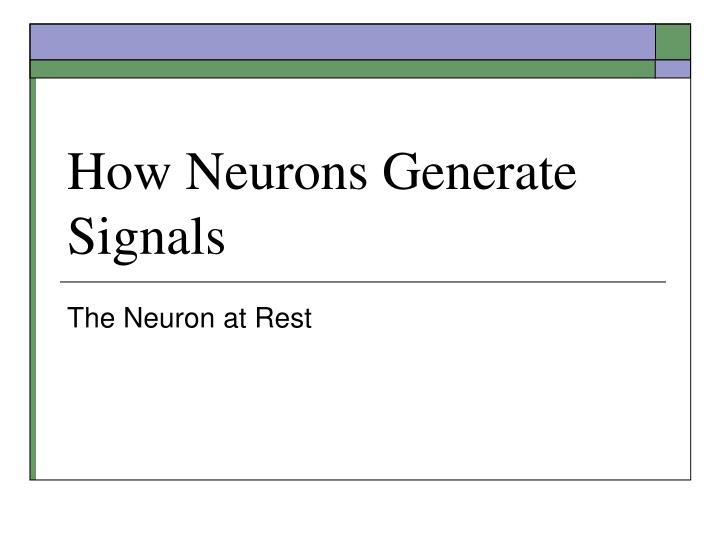 how neurons generate signals