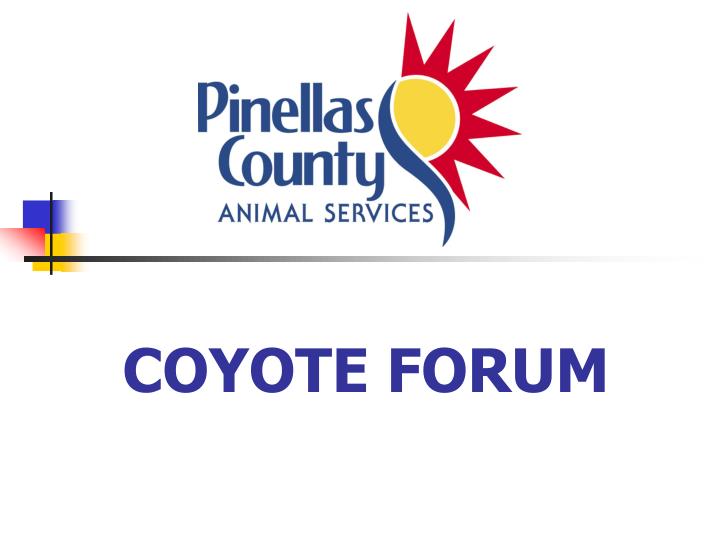 coyote forum