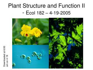 Plant Structure and Function II - E col 182 – 4-19-2005