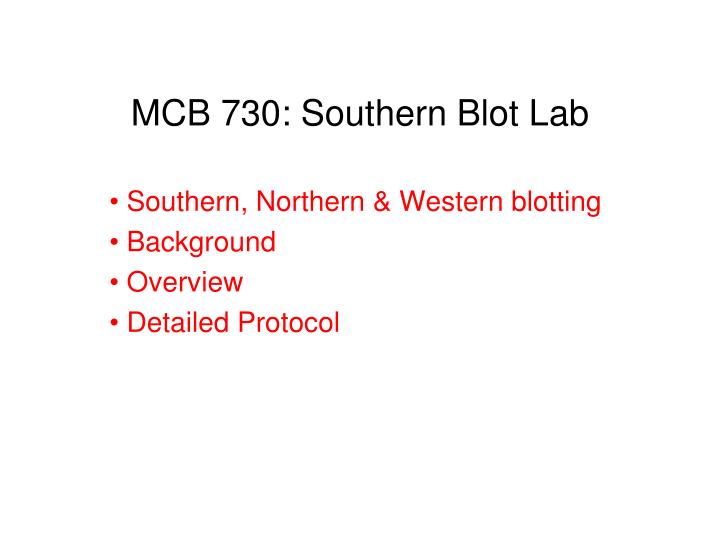 mcb 730 southern blot lab
