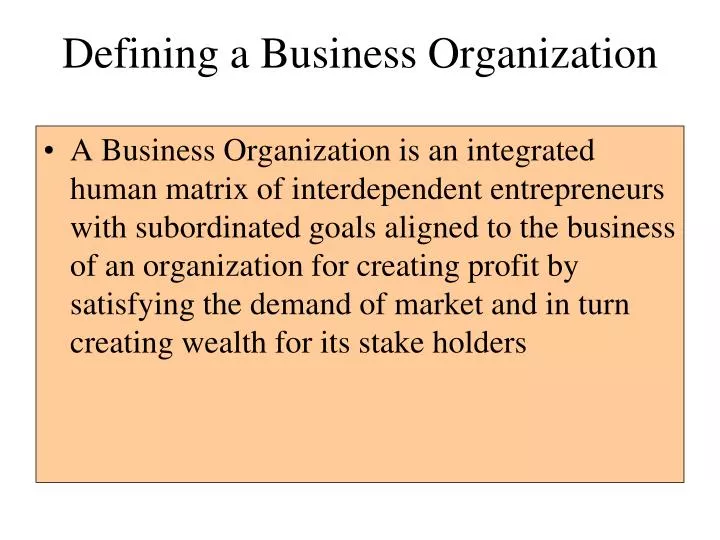 defining a business organization