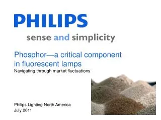 Phosphor—a critical component in fluorescent lamps Navigating through market fluctuations