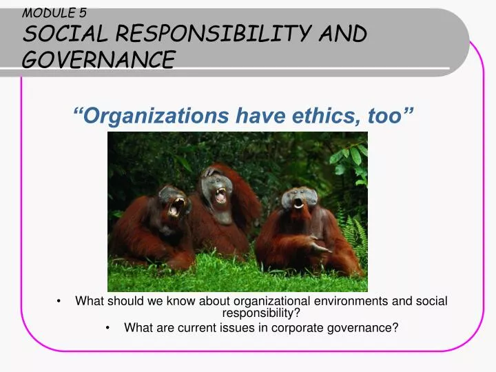module 5 social responsibility and governance