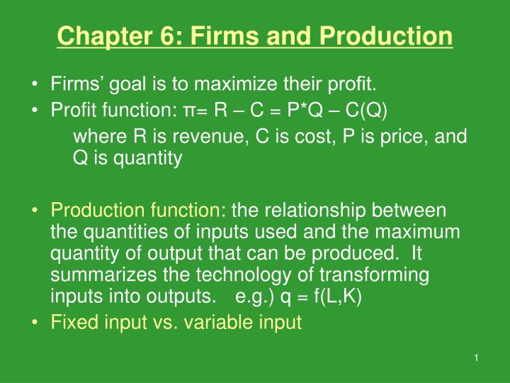 chapter 6 firms and production