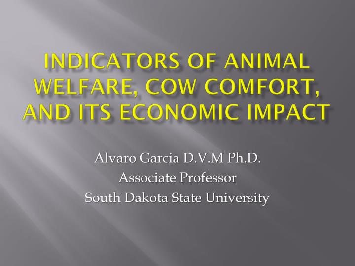 indicators of animal welfare cow comfort and its economic impact