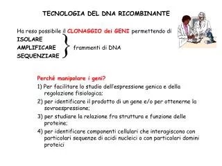 TECNOLOGIA DEL DNA RICOMBINANTE