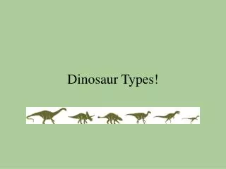Dinosaur Types!