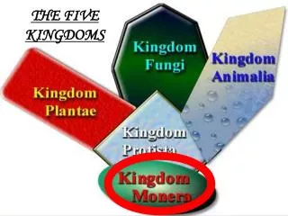 THE FIVE KINGDOMS