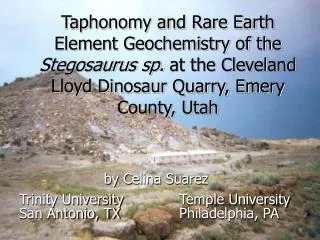Taphonomy and Rare Earth Element Geochemistry of the Stegosaurus sp. at the Cleveland Lloyd Dinosaur Quarry, Emery Cou
