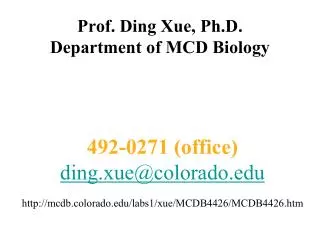 Prof. Ding Xue, Ph.D. Department of MCD Biology