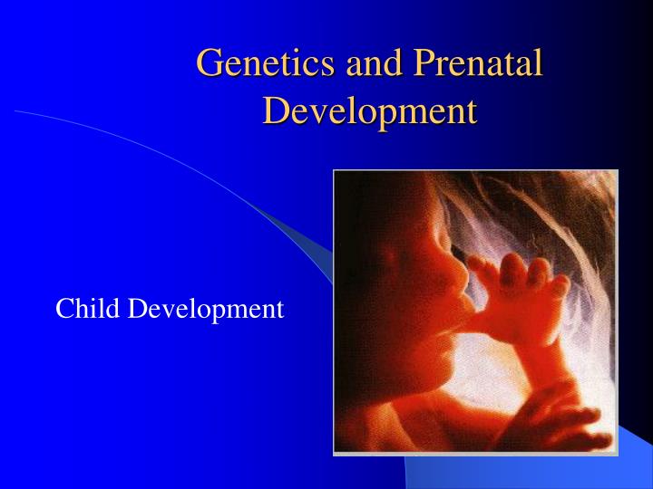 genetics and prenatal development