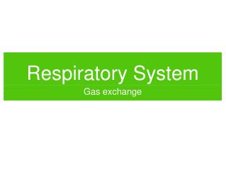 respiratory system
