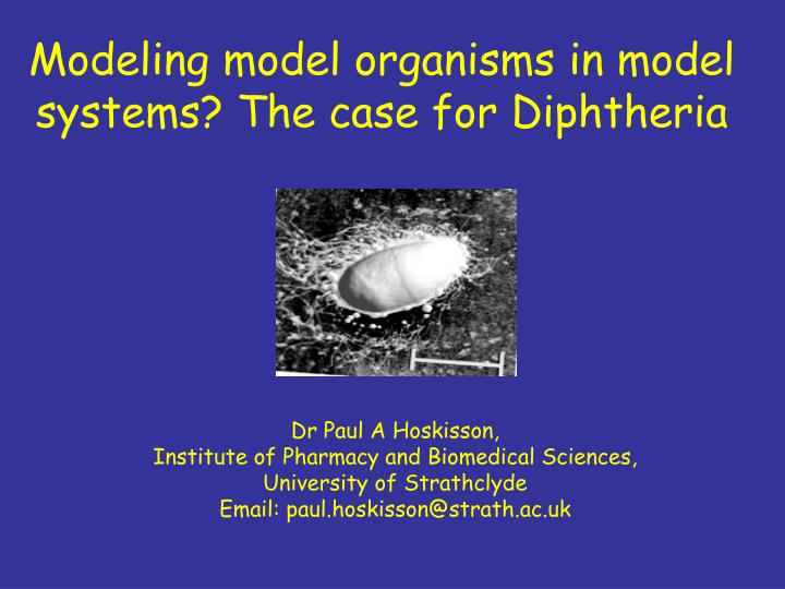 modeling model organisms in model systems the case for diphtheria