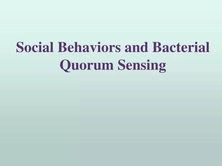 social behaviors and bacterial quorum sensing