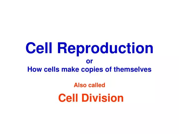 cell reproduction or how cells make copies of themselves