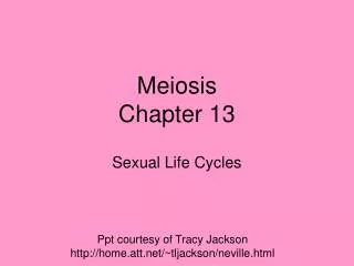Meiosis Chapter 13