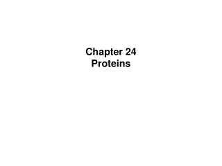 Chapter 24 Proteins