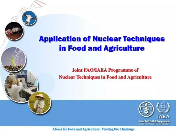 application of nuclear techniques in food and agriculture