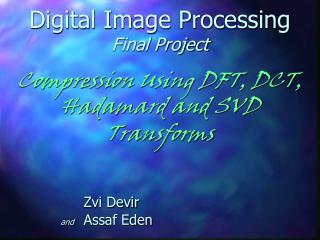 Digital Image Processing Final Project