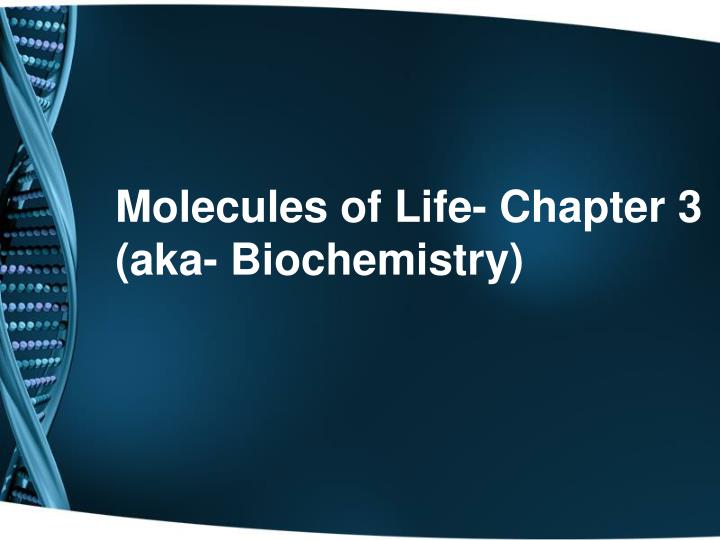 molecules of life chapter 3 aka biochemistry