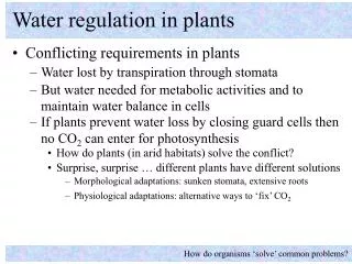 Water regulation in plants
