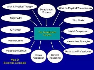 The Disablement Process