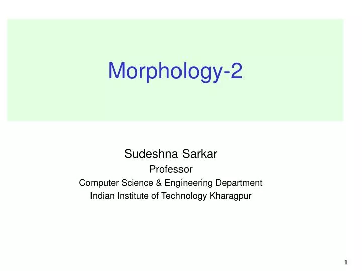 morphology 2