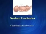 Newborn Examination - slide 1