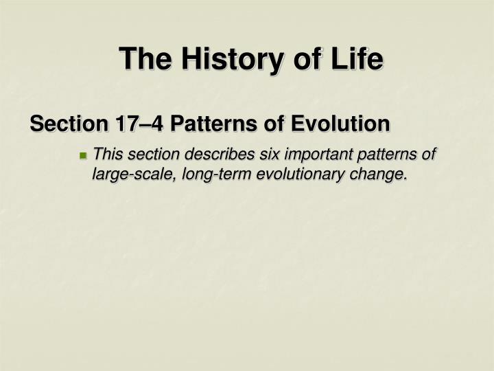 the history of life