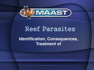 Reef Parasites