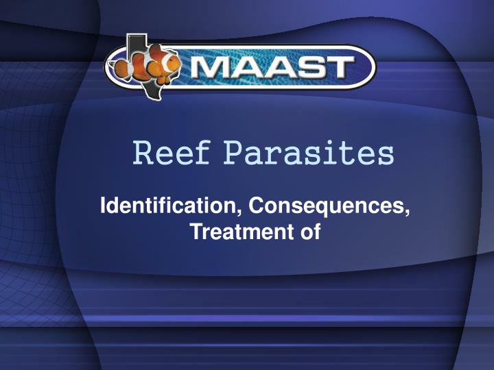 reef parasites