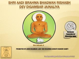 shri aadi b rahma bhagwan rishabh dev digambar jainaliya