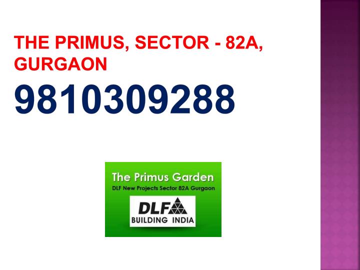 the primus sector 82a gurgaon 9810309288