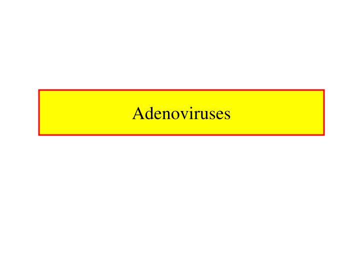adenoviruses
