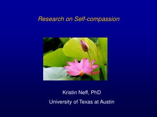 Research on Self-compassion