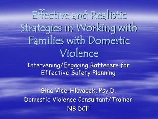 Effective and Realistic Strategies in Working with Families with Domestic Violence