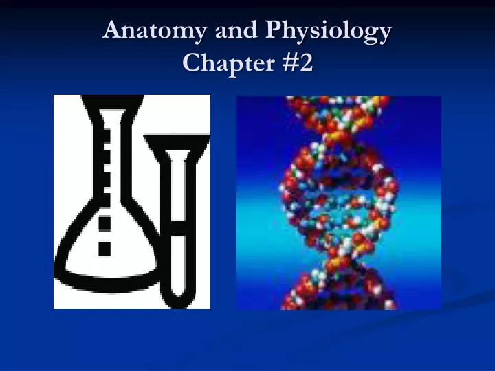 anatomy and physiology chapter 2