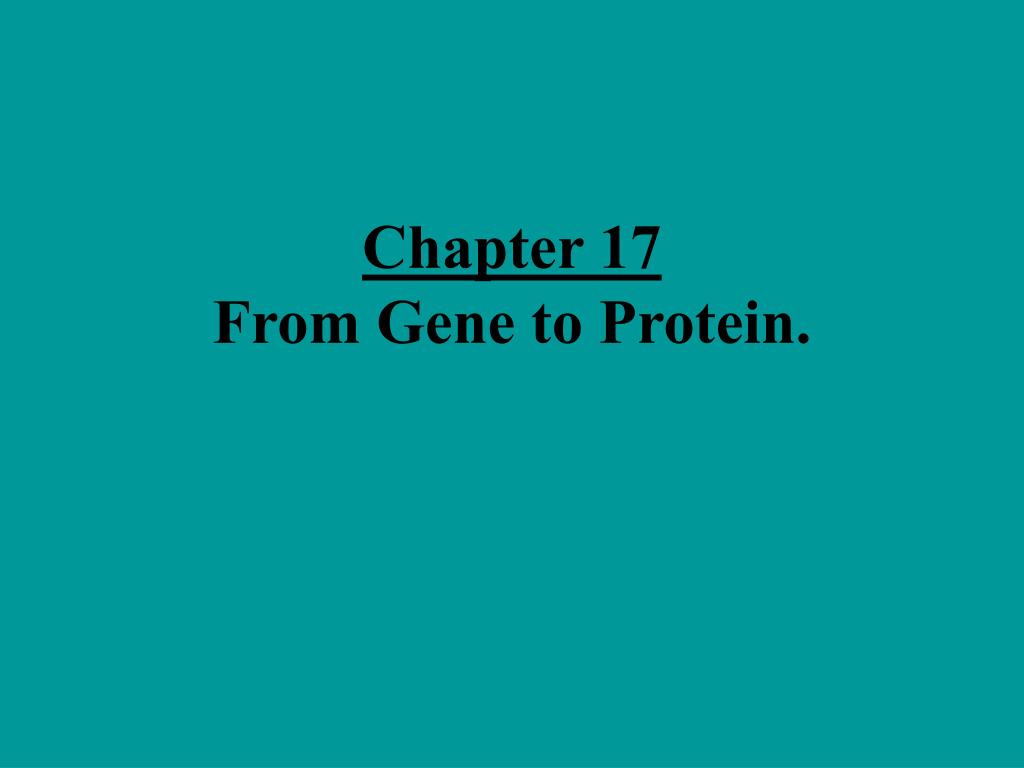 PPT - Chapter 17 From Gene to Protein. PowerPoint Presentation, free ...