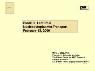 Block III Lecture 6 Nucleocytoplasmic Transport February 13, 2006