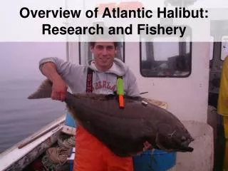 Overview of Atlantic Halibut: Research and Fishery