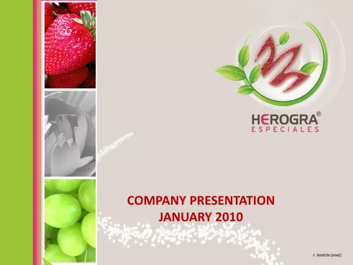 company presentation january 2010