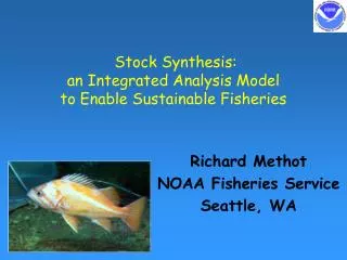 Stock Synthesis: an Integrated Analysis Model to Enable Sustainable Fisheries