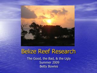 Belize Reef Research