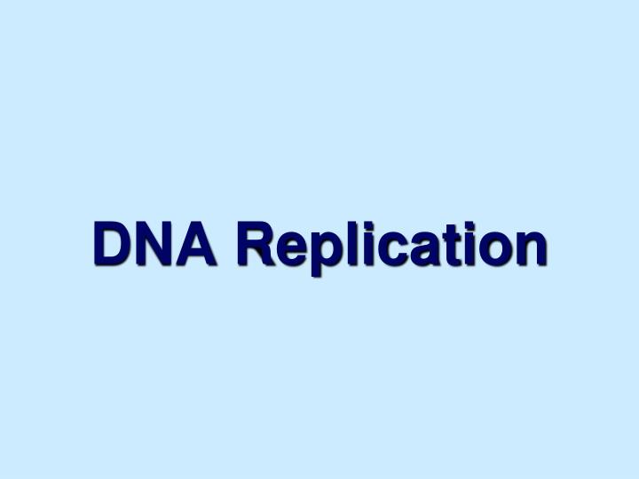 dna replication