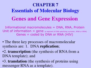 CHAPTER 7 Essentials of Molecular Biology